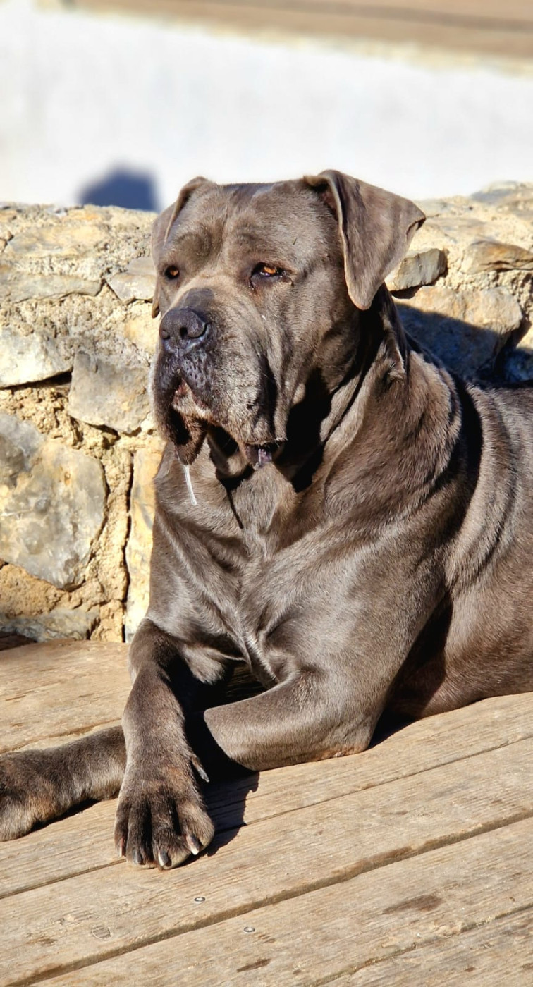 Regina dei titani sabini