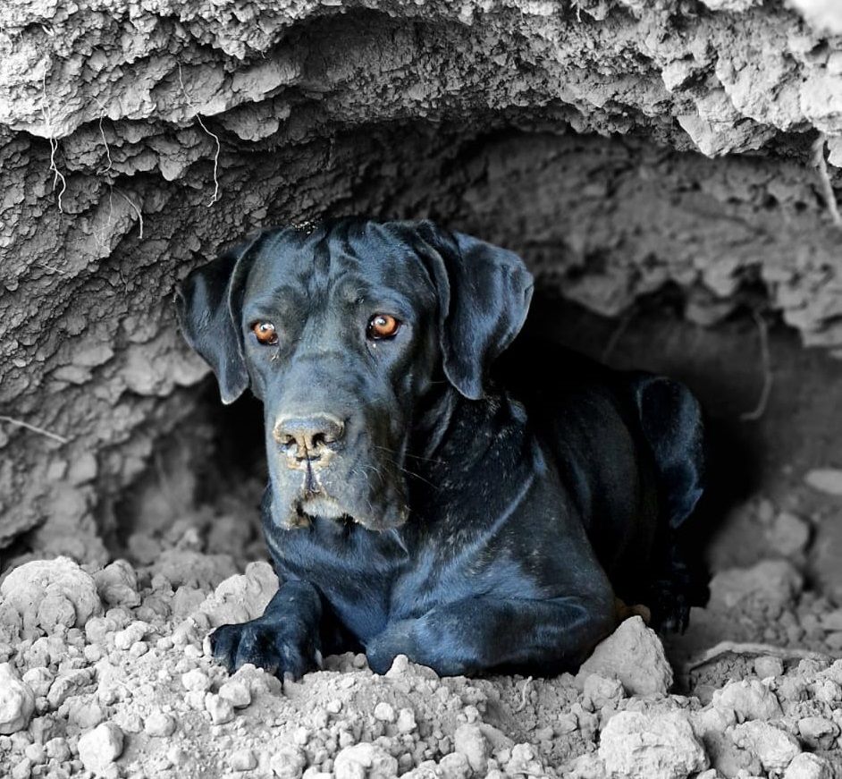 Théia Des Seigneurs De Sparte